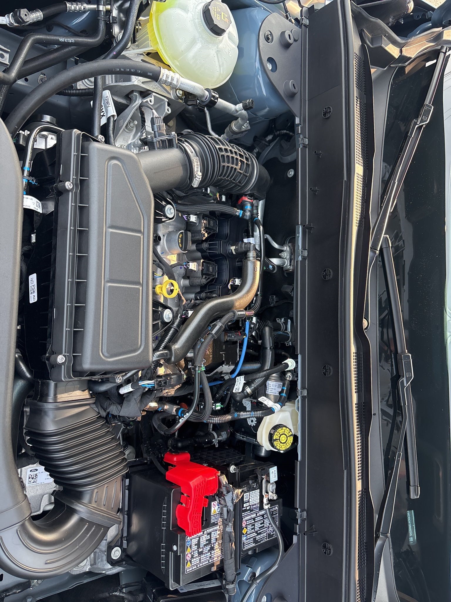 Ford Bronco Sport  2025