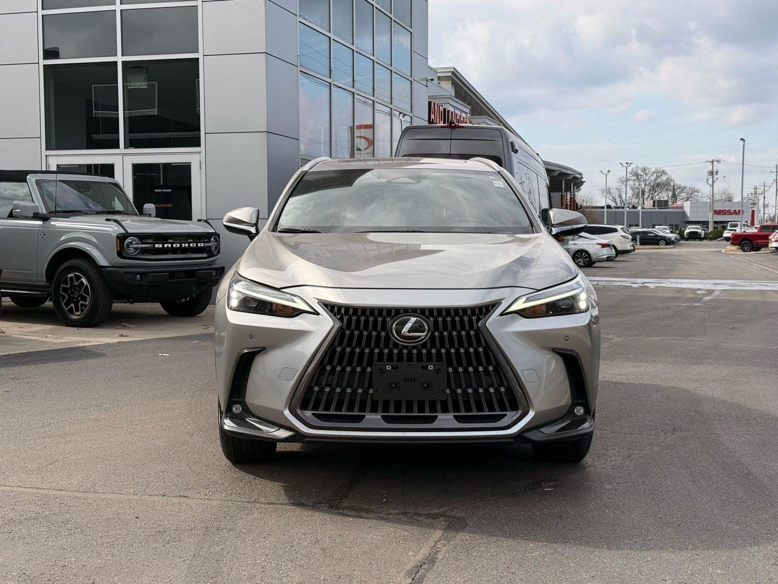 Lexus NX  2024