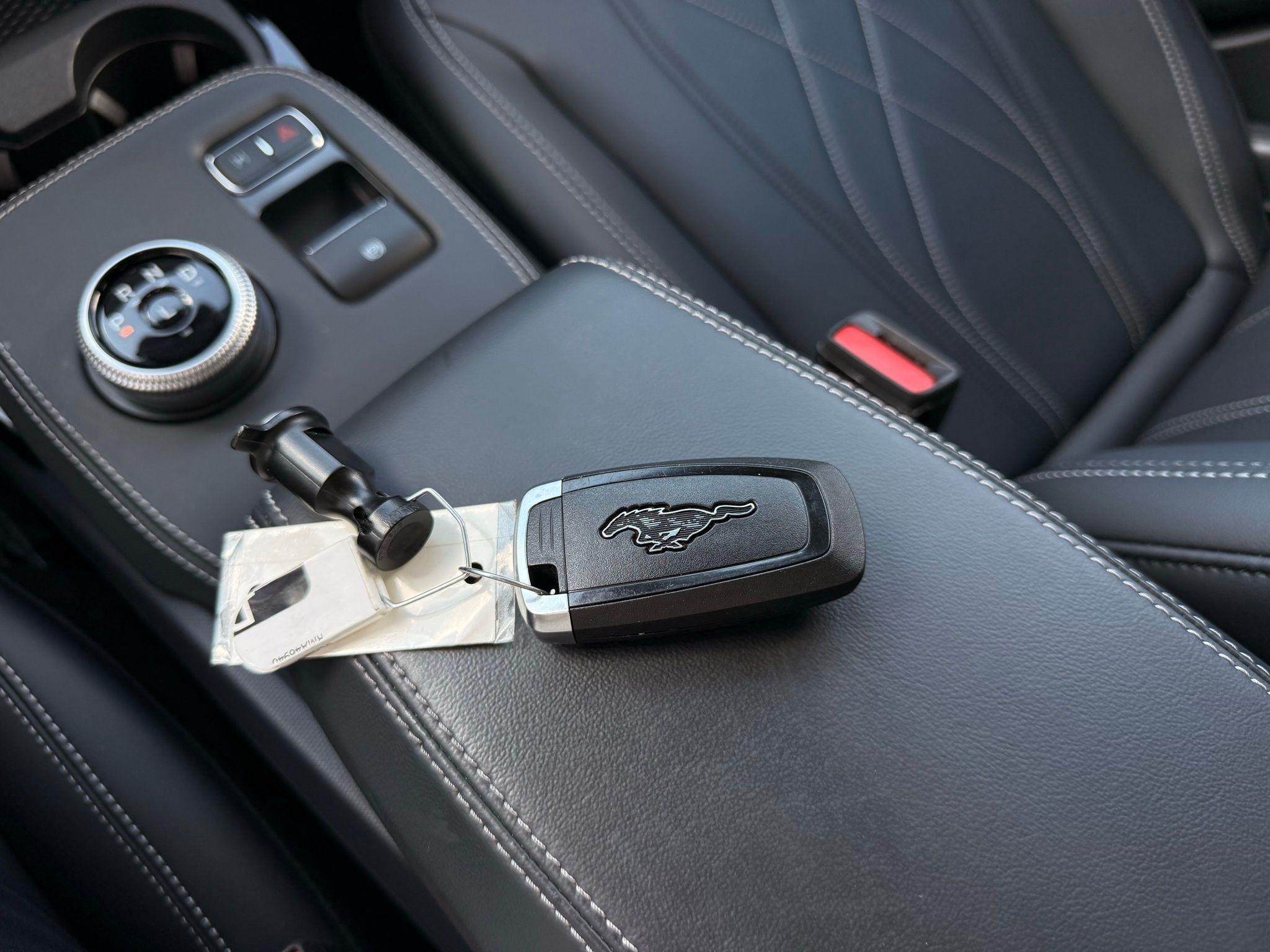 Ford Mustang Mach-E  2024