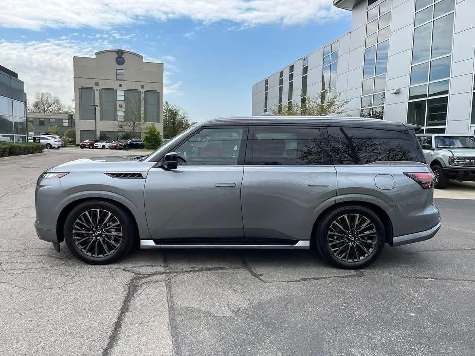 Infiniti QX80  2025