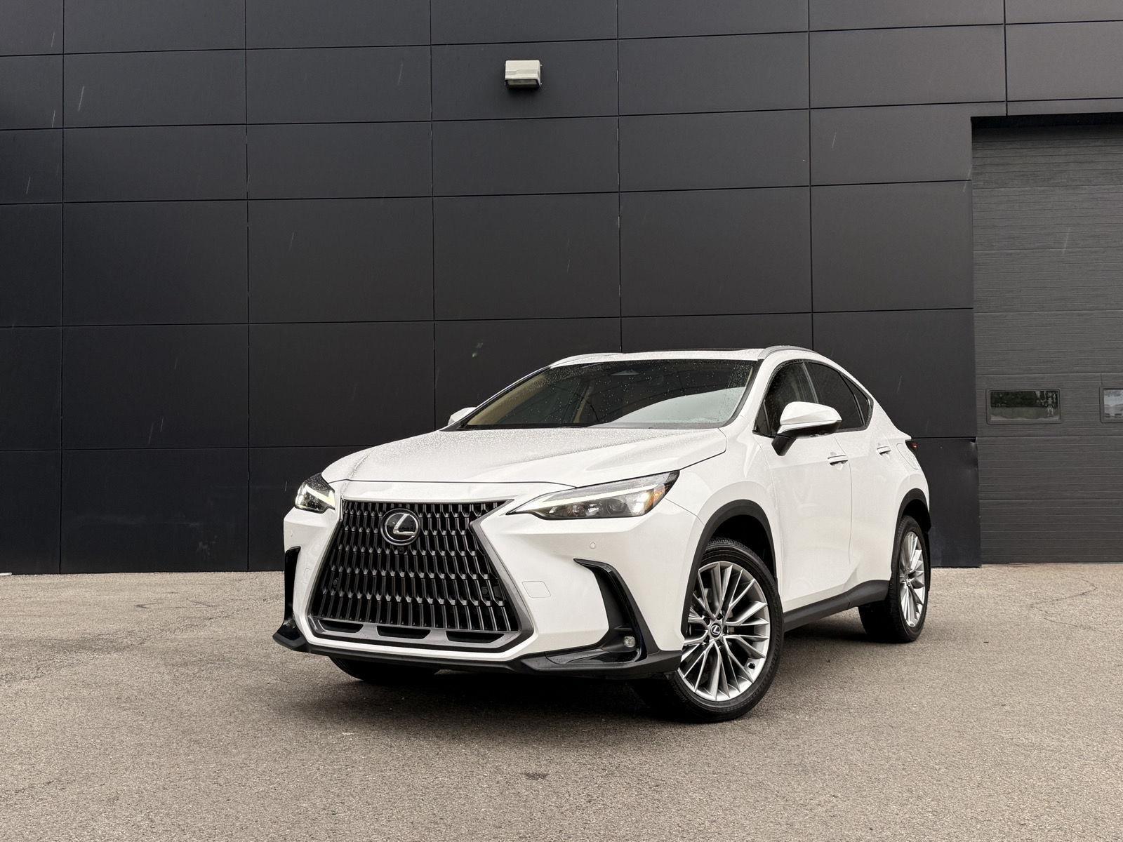 2025 Lexus NX 350 Premium