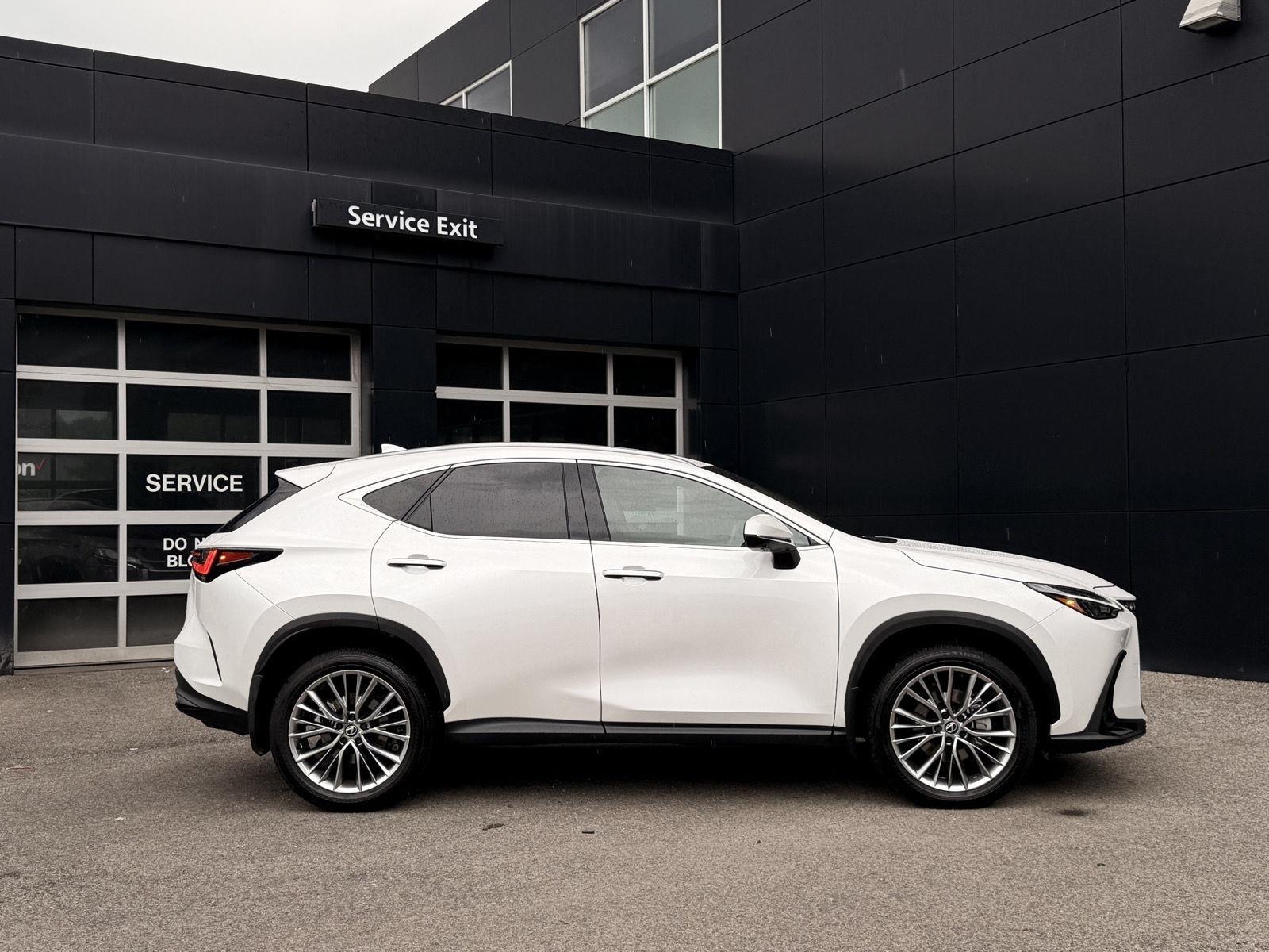 Lexus NX  2025