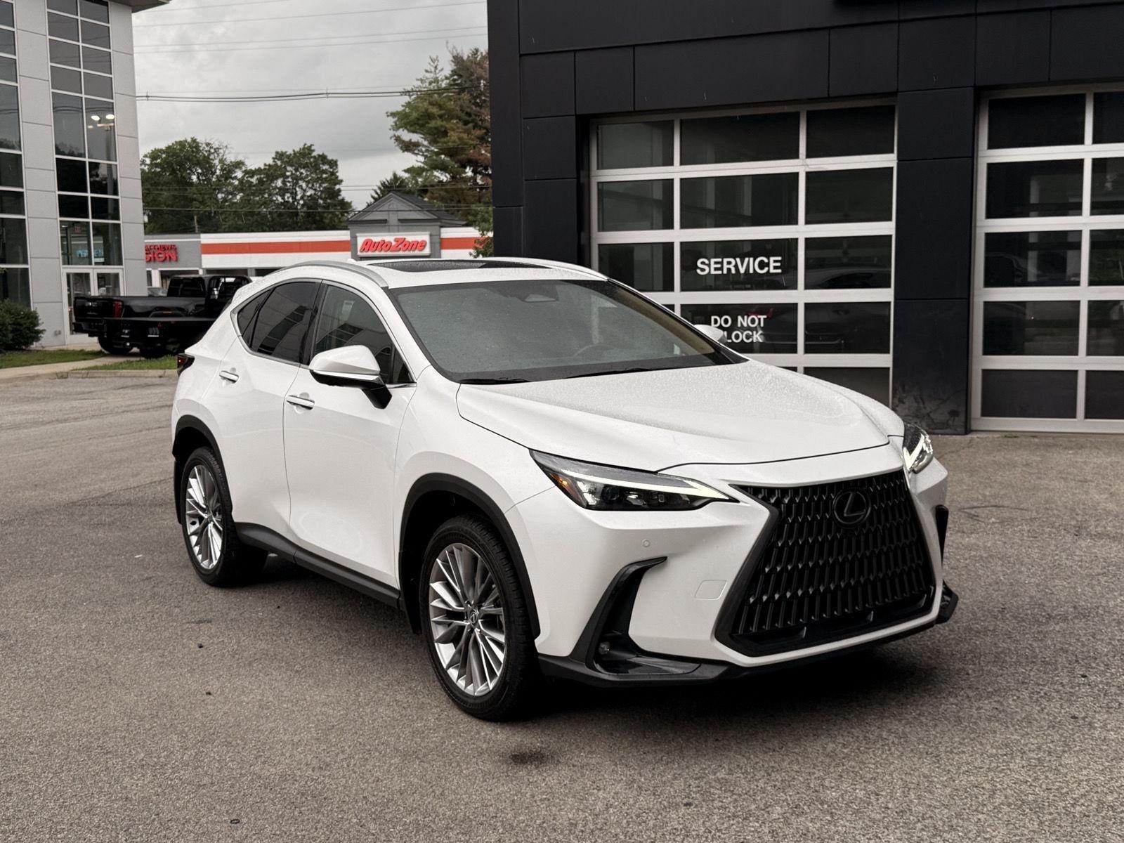 Lexus NX  2025