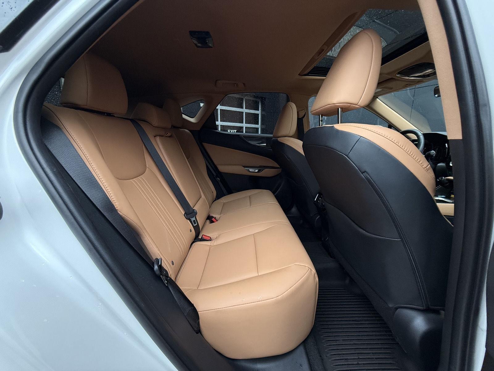 Lexus NX  2025