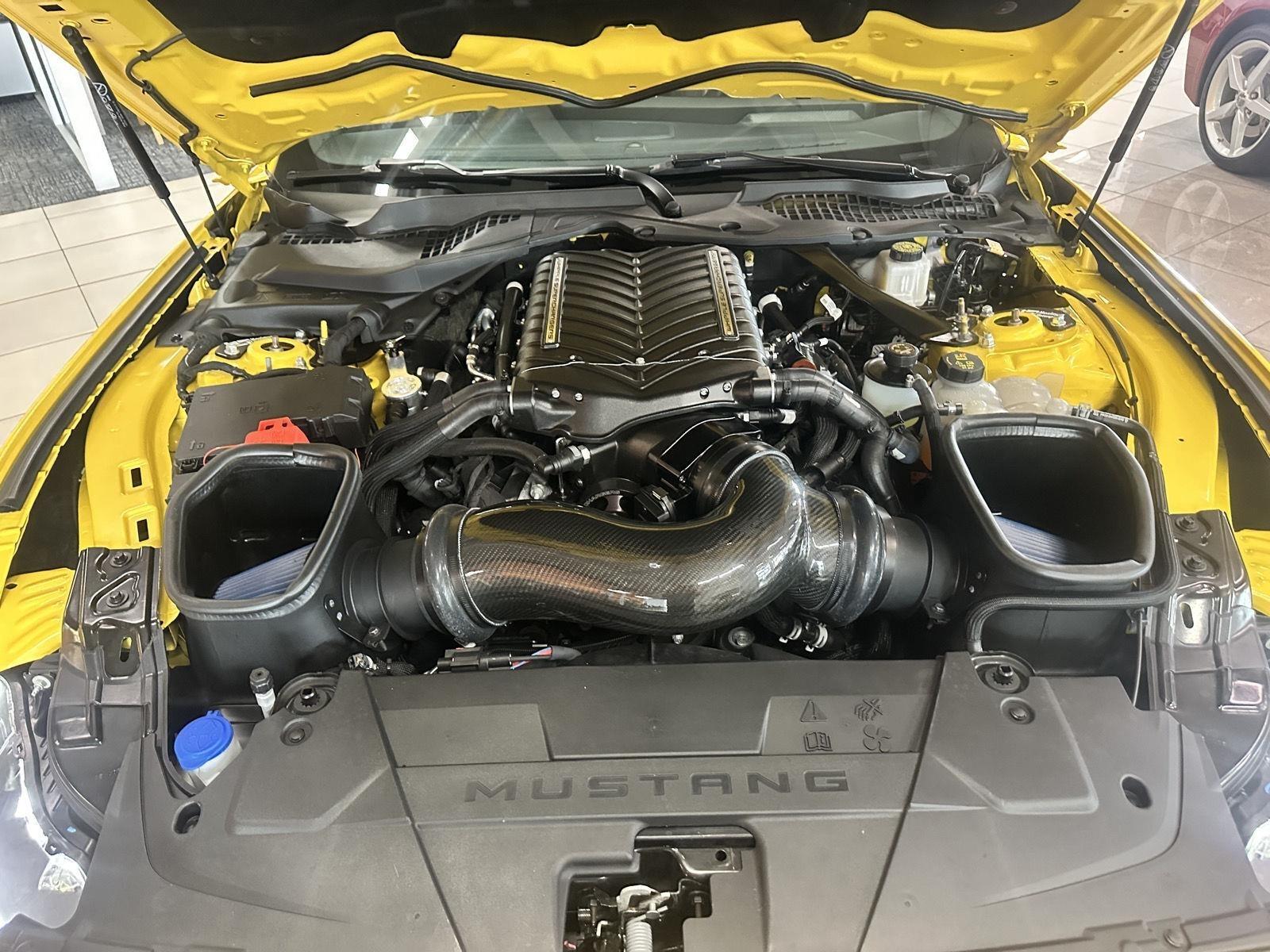 Ford Mustang GT Premium Coupe 2024