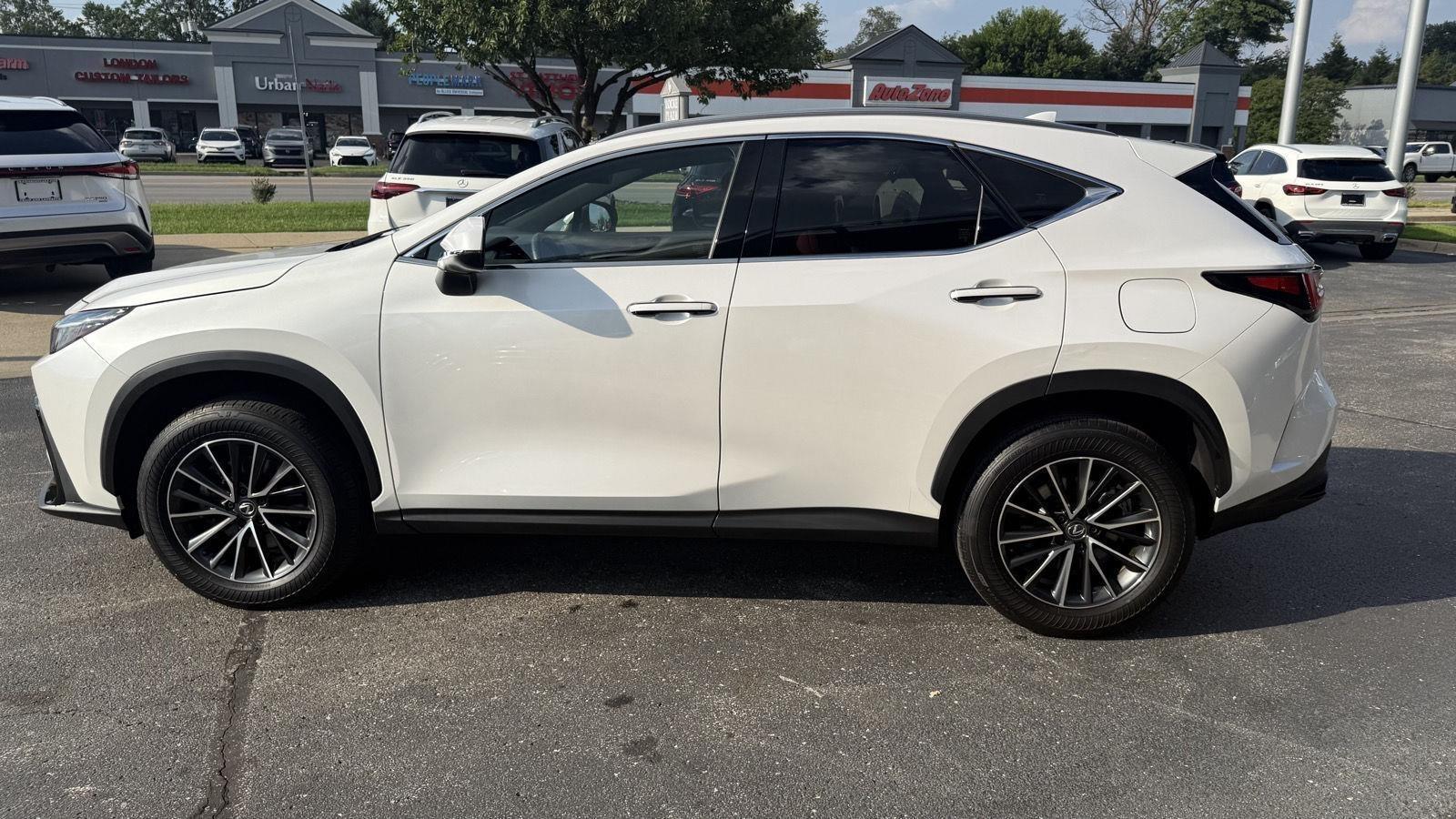 Lexus NX 350 AWD 2024
