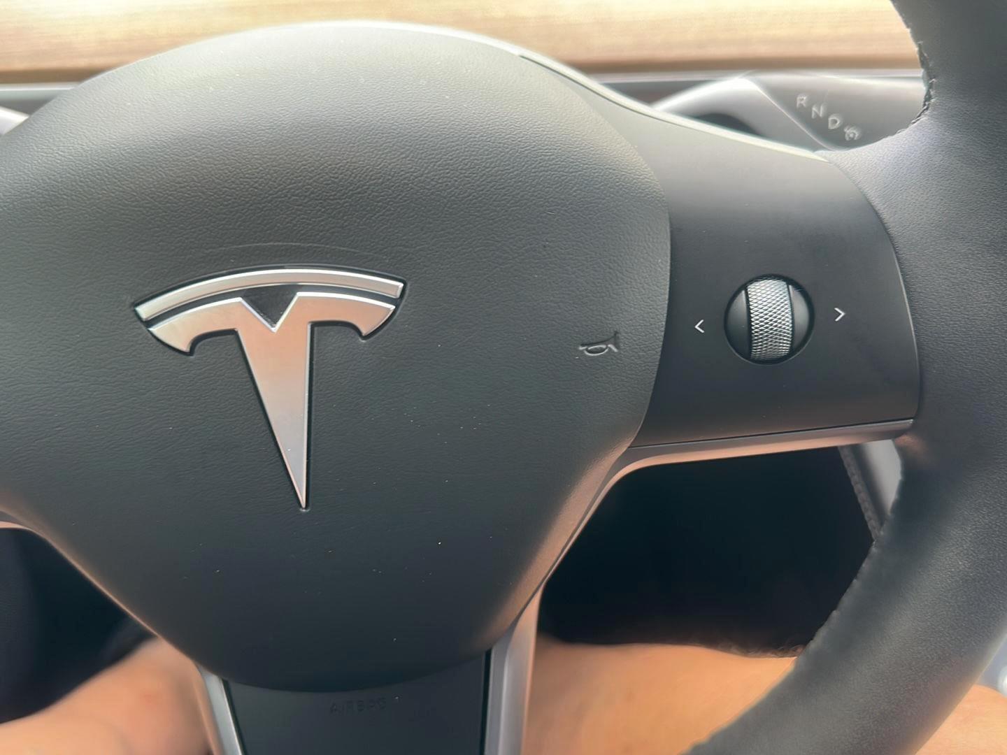 Tesla Model Y Performance 2024