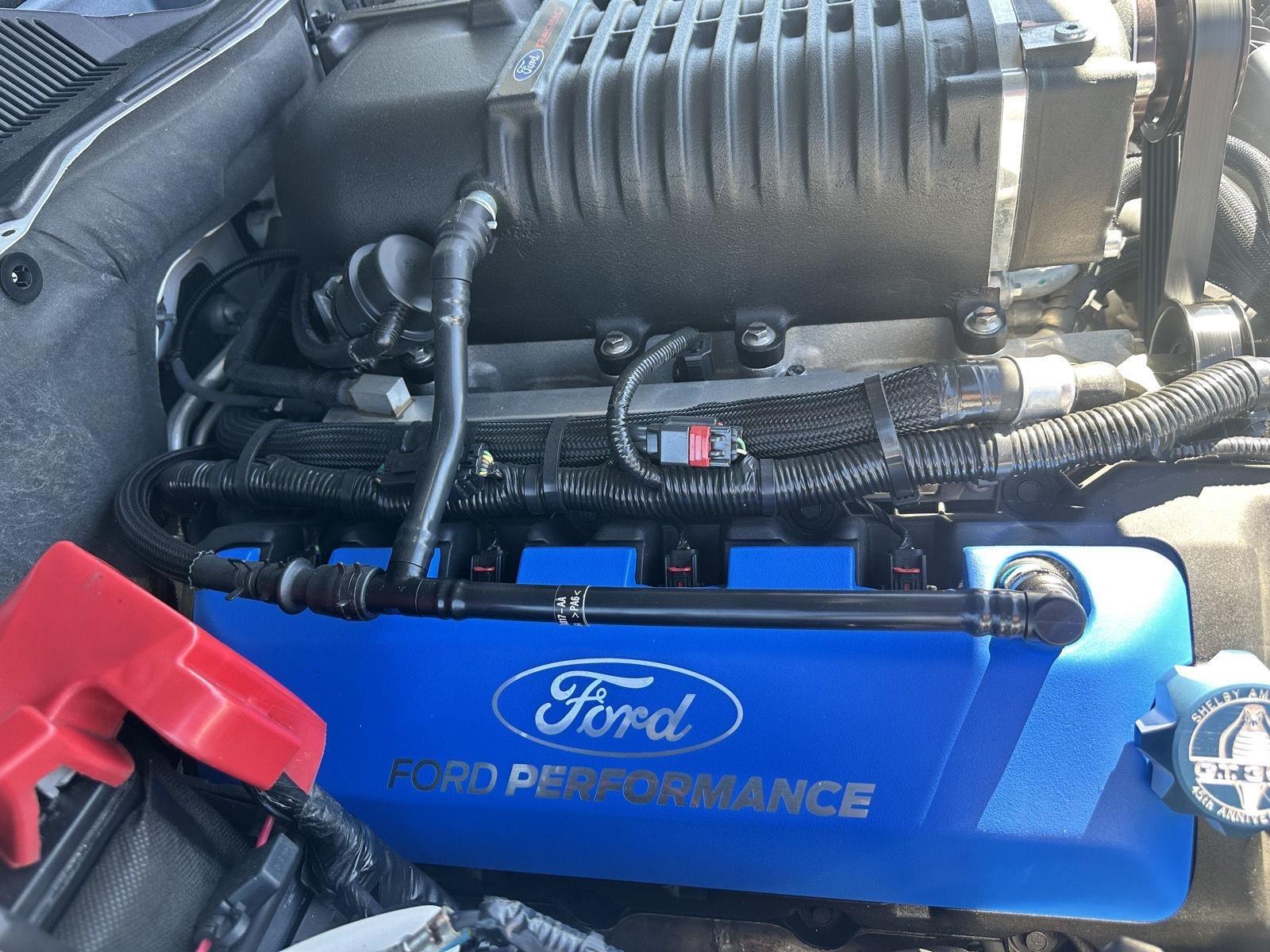Ford Shelby GT350 Base 2011