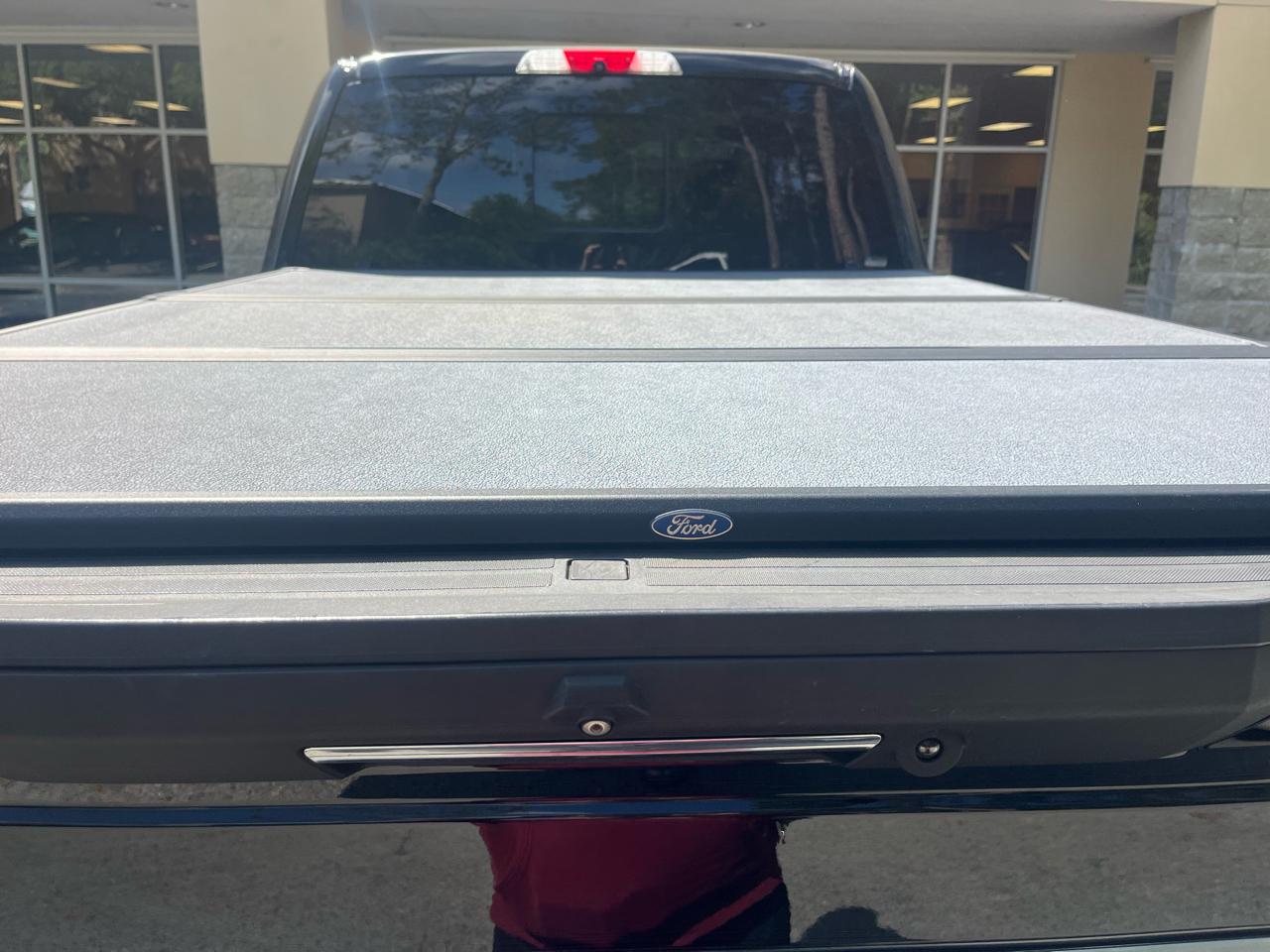 Ford Super Duty F-350 SRW Platinum 4WD Crew Cab 8' Box 2019