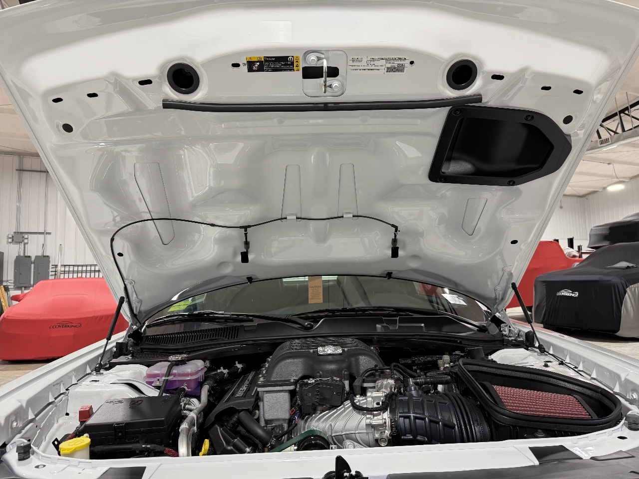 Dodge Challenger  2023