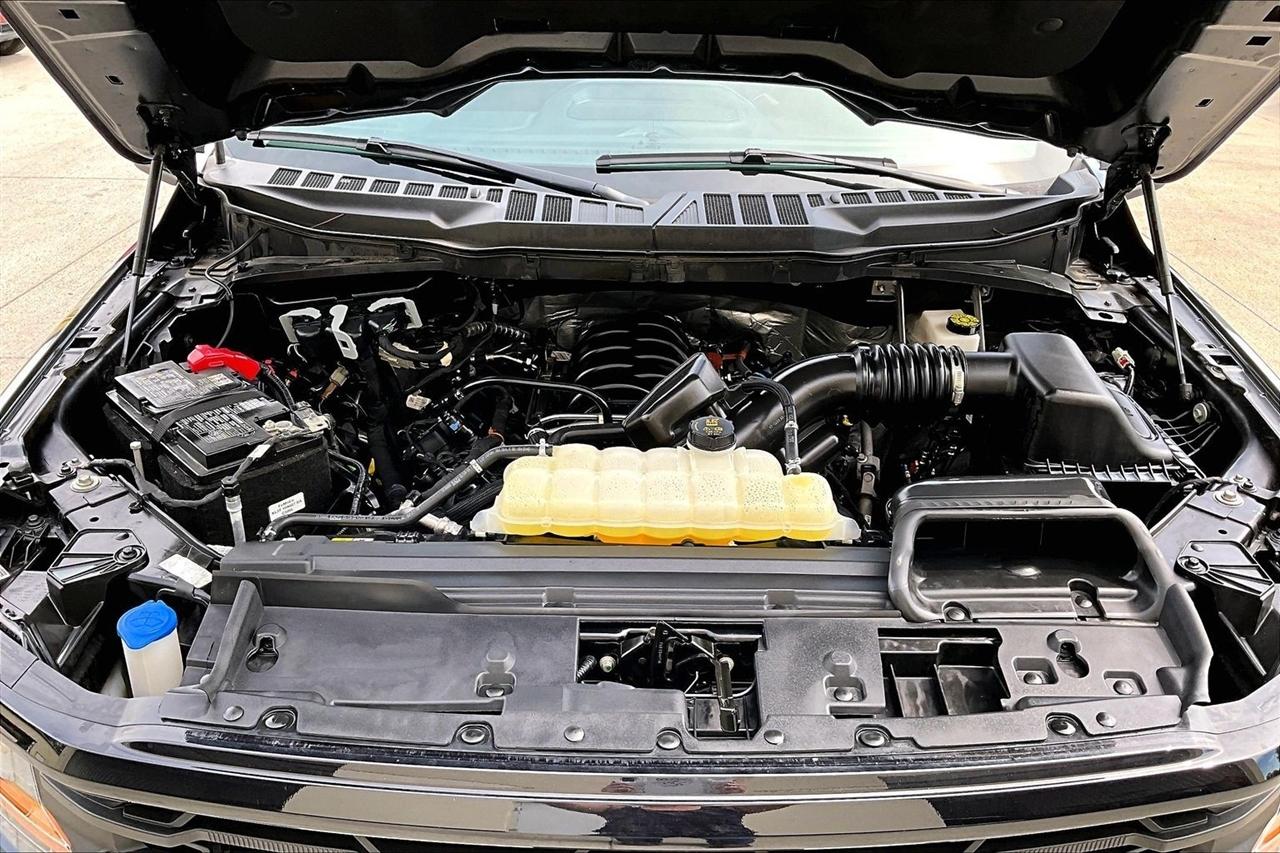 Ford F-150 XLT 4WD SuperCrew 5.5' Box 2025