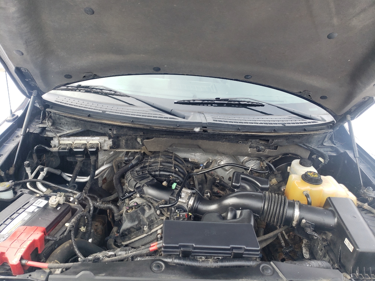 Ford F-150 2WD Reg Cab 126" XL 2013