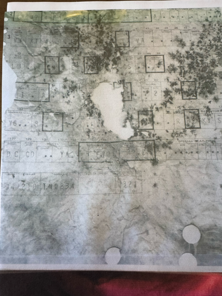 Chevrolet Chevelle SS 396  1969