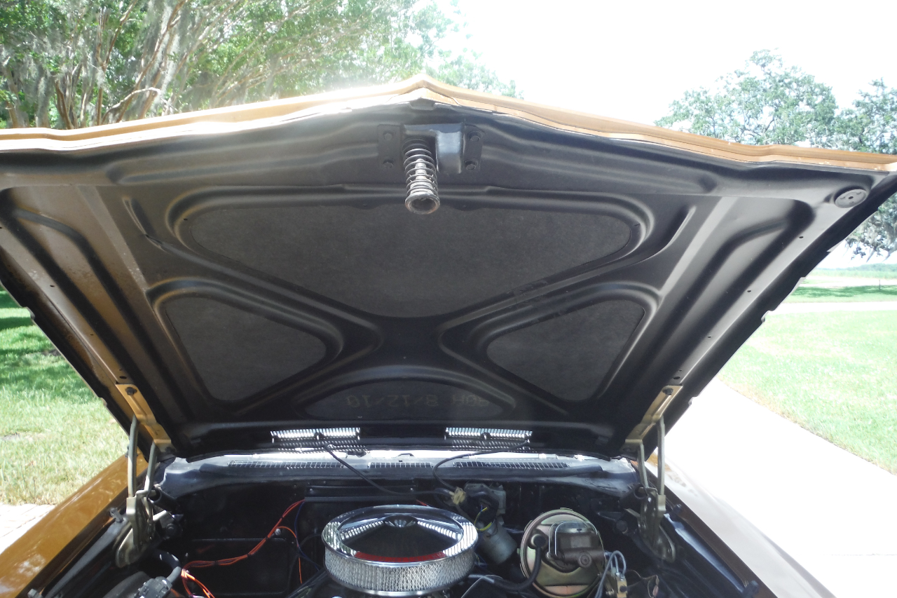 Chevrolet Chevelle SS 396  1969