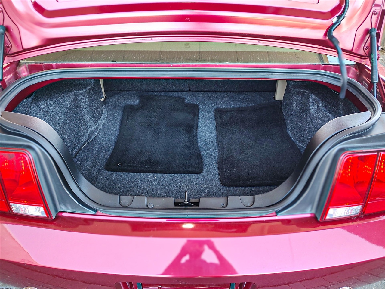 Ford Mustang  2007 Ford Mustang  2007