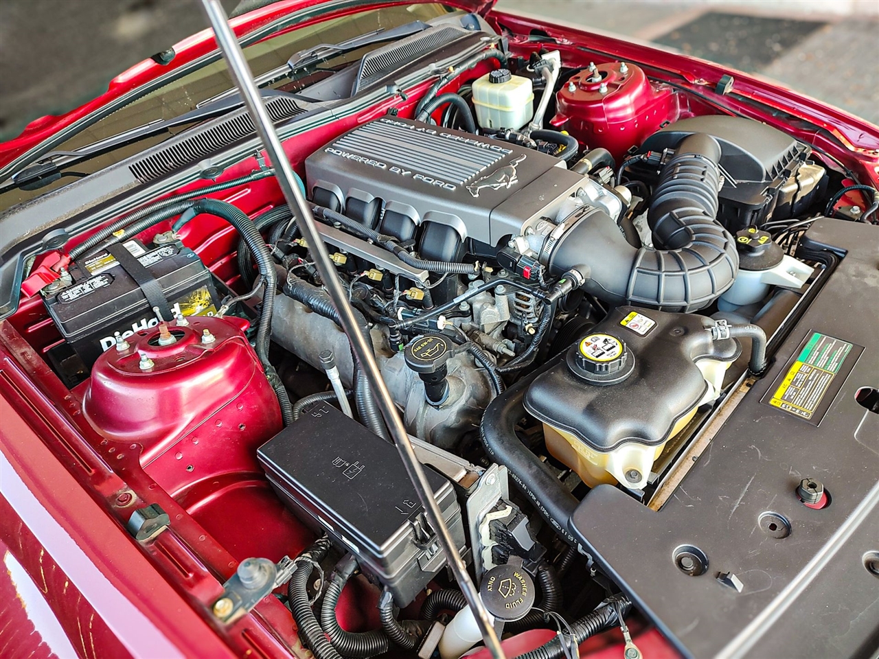 Ford Mustang  2007 Ford Mustang  2007