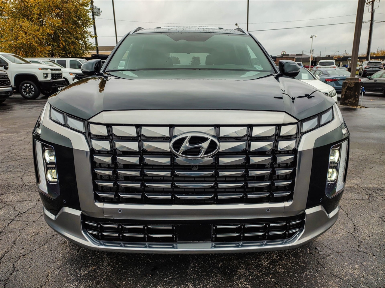 Hyundai Palisade  2025 Hyundai Palisade  2025