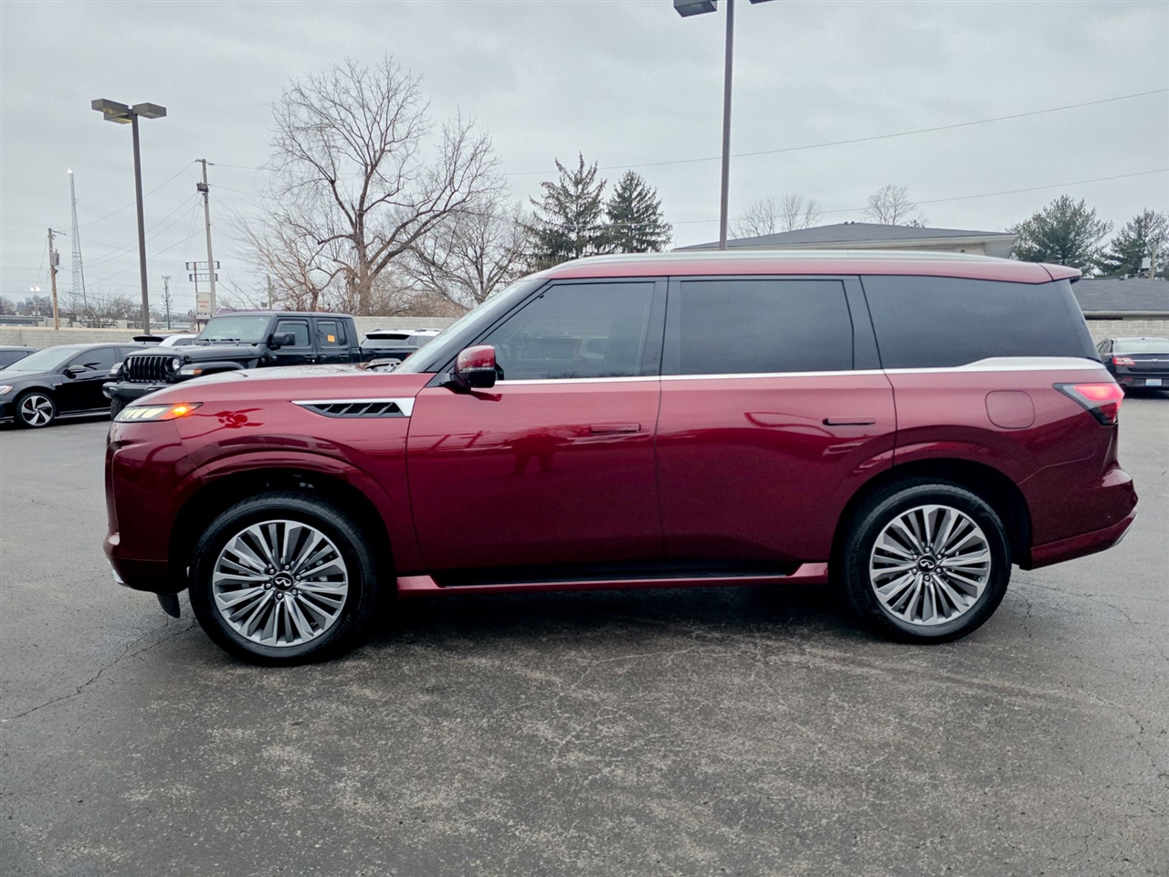 Infiniti QX80  2025