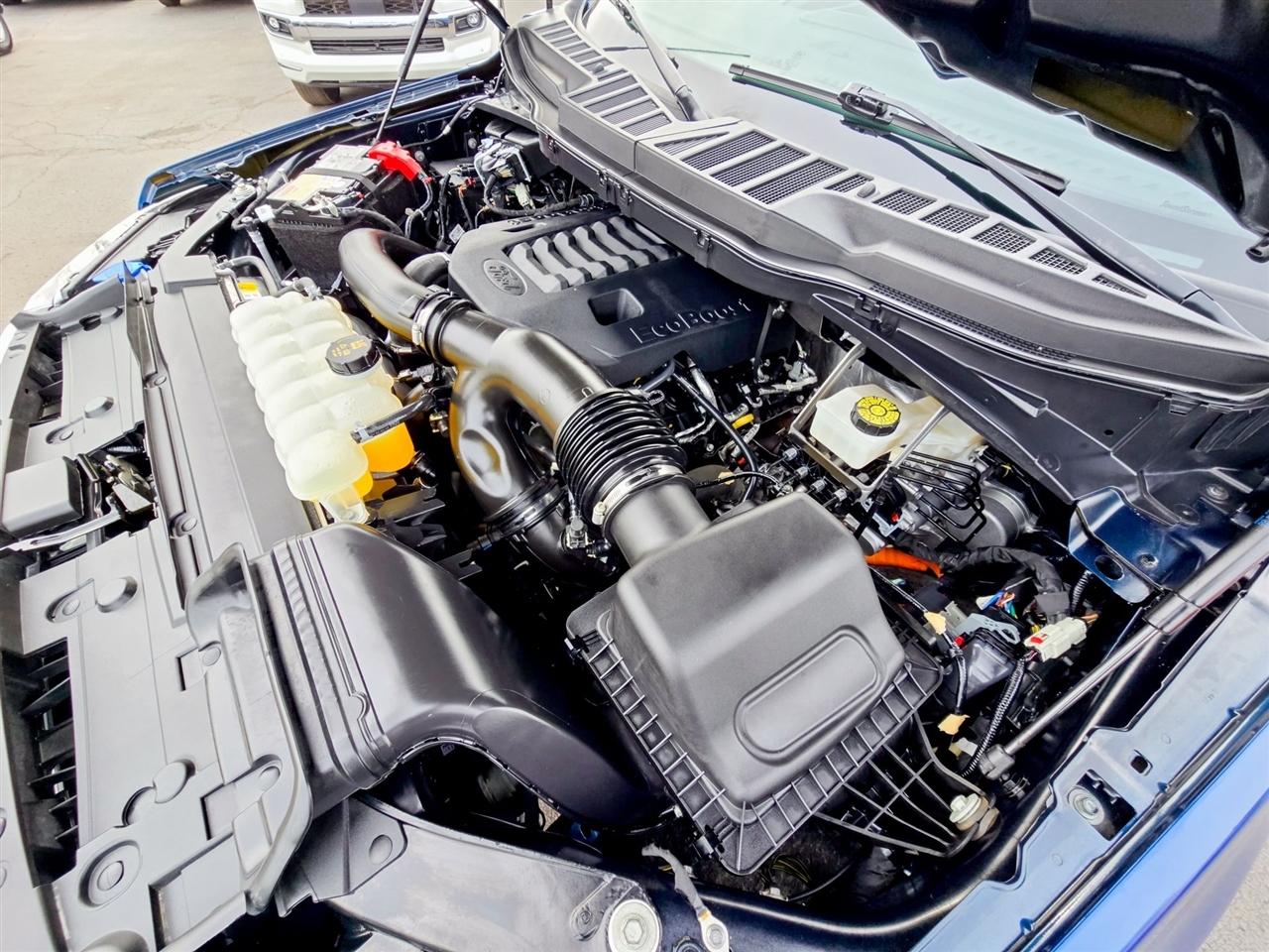 Ford F-150 XLT SuperCrew 4WD 2023