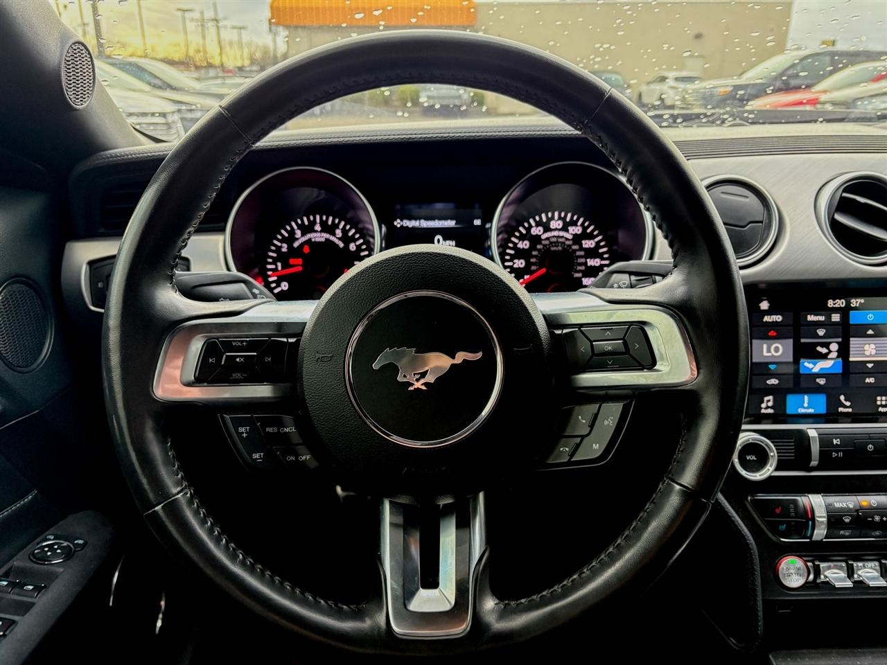 Ford Mustang  2019