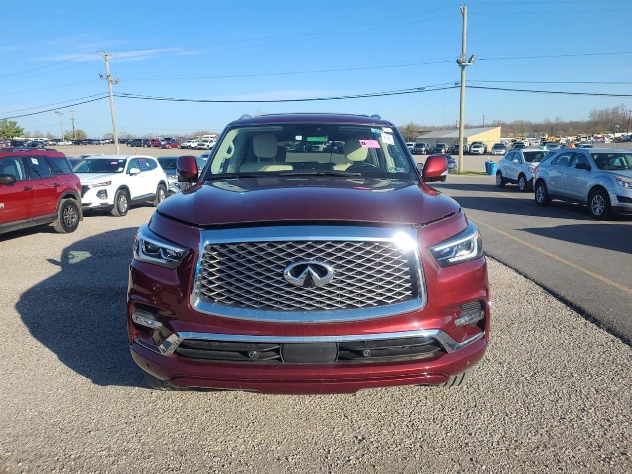 Infiniti QX80  2021