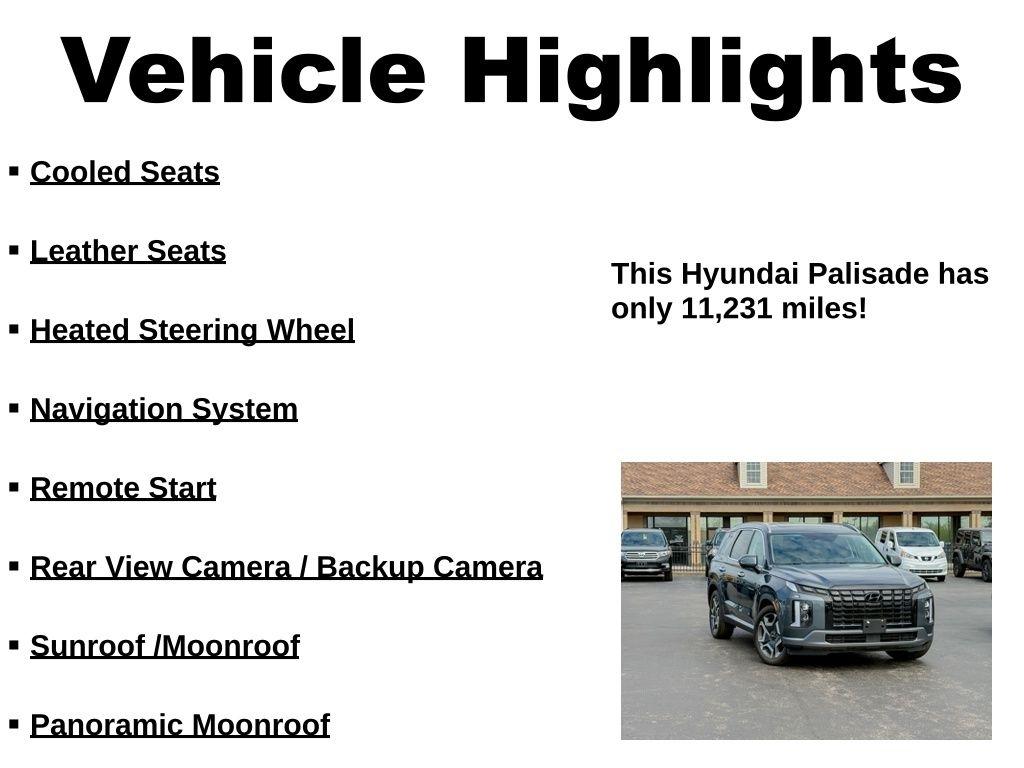 Hyundai Palisade  2024