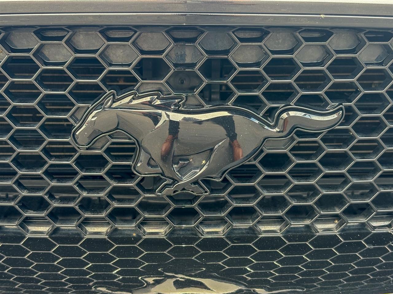 Ford Mustang  2022