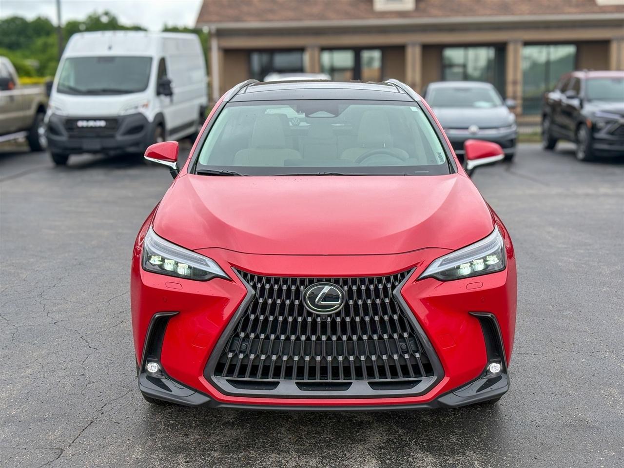 Lexus NX  2025