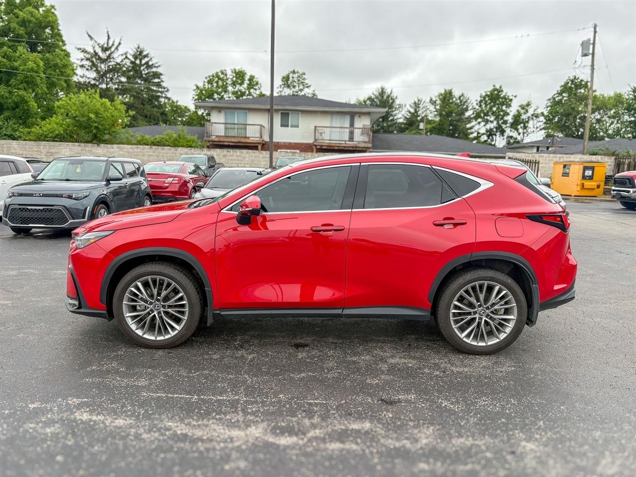 Lexus NX  2025