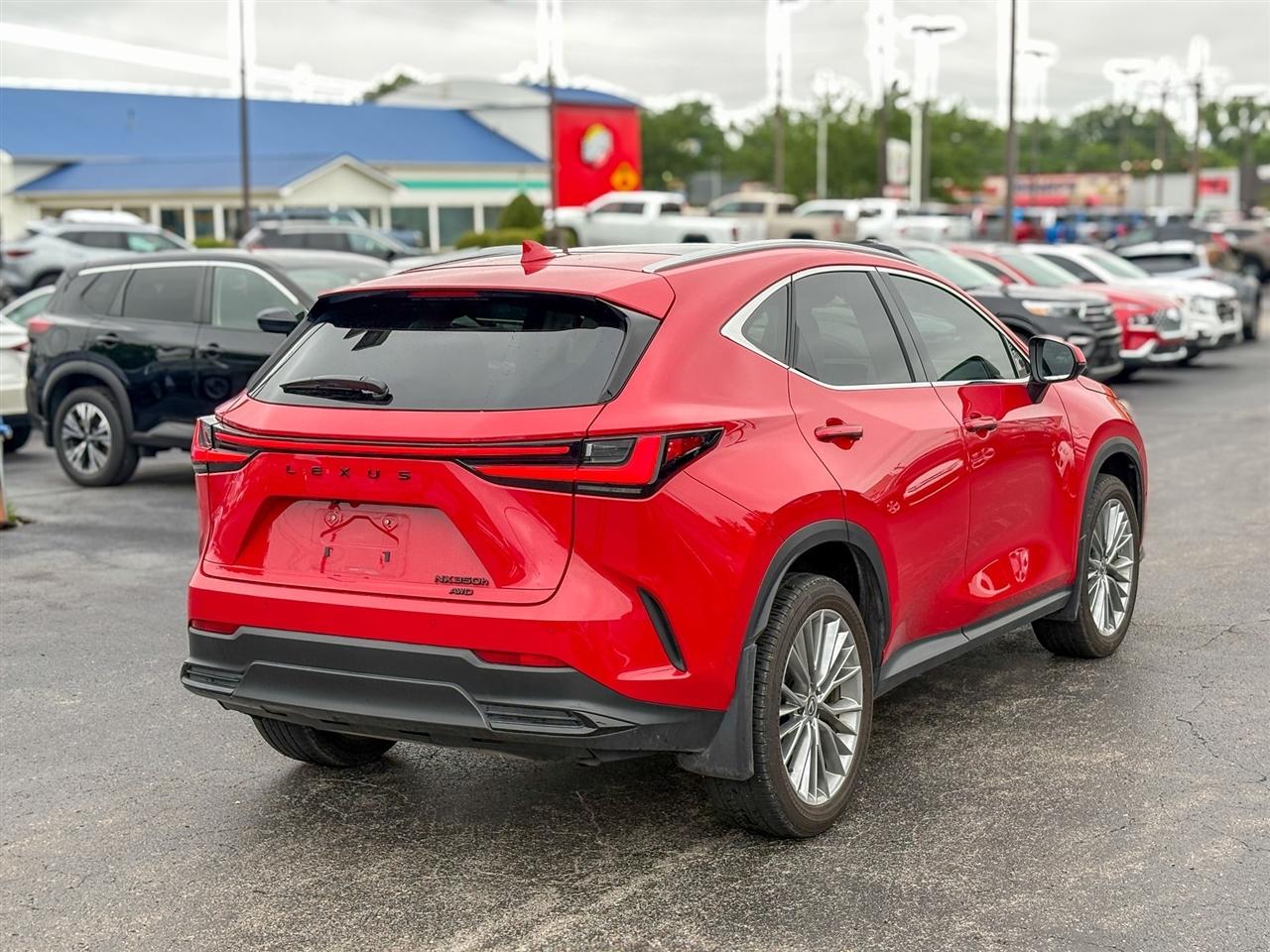 Lexus NX  2025