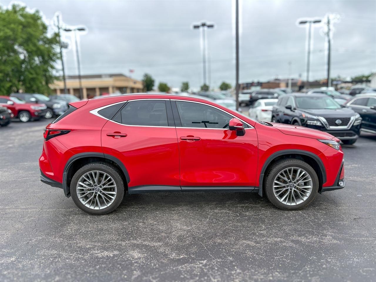 Lexus NX  2025