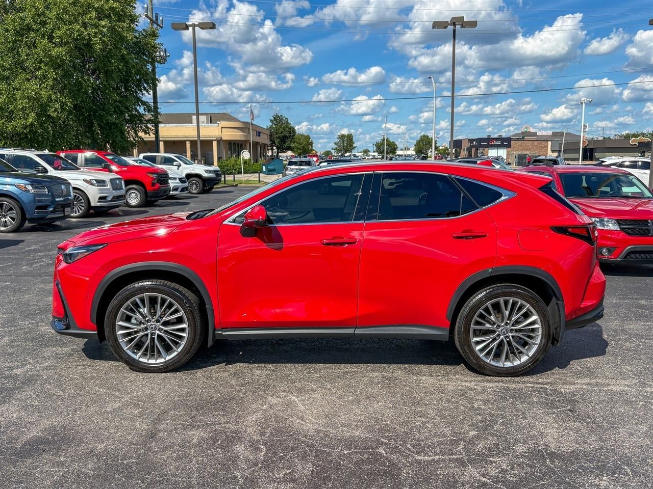 Lexus NX 350h Luxury 2025