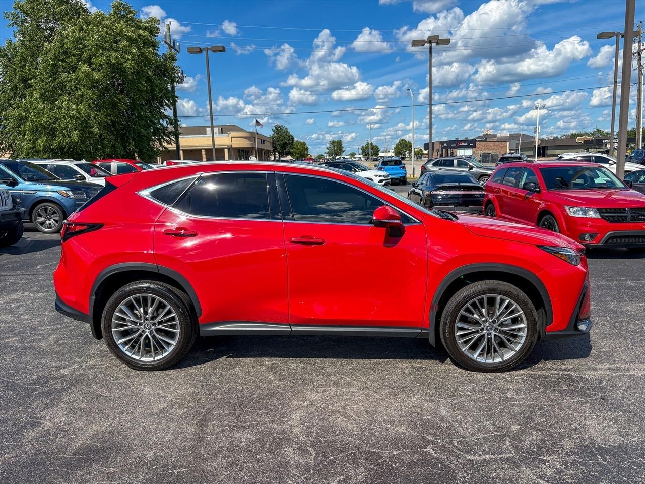 Lexus NX 350h Luxury 2025
