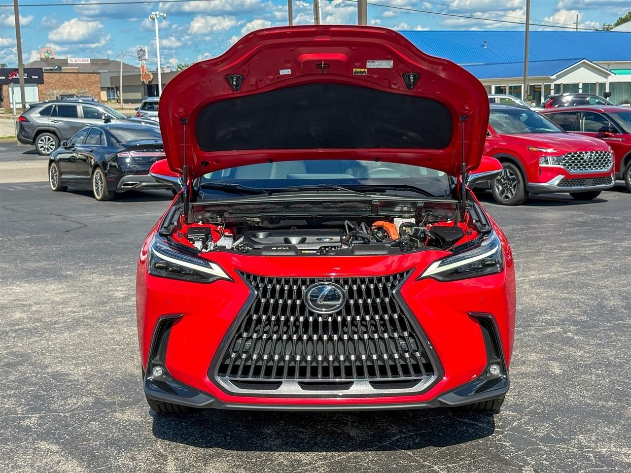 Lexus NX 350h Luxury 2025