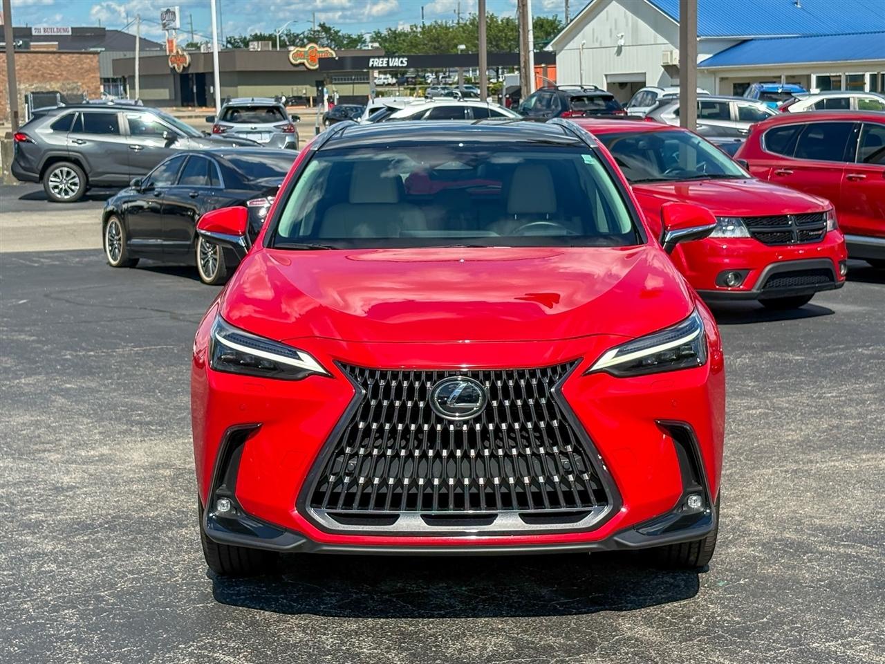 Lexus NX 350h Luxury 2025