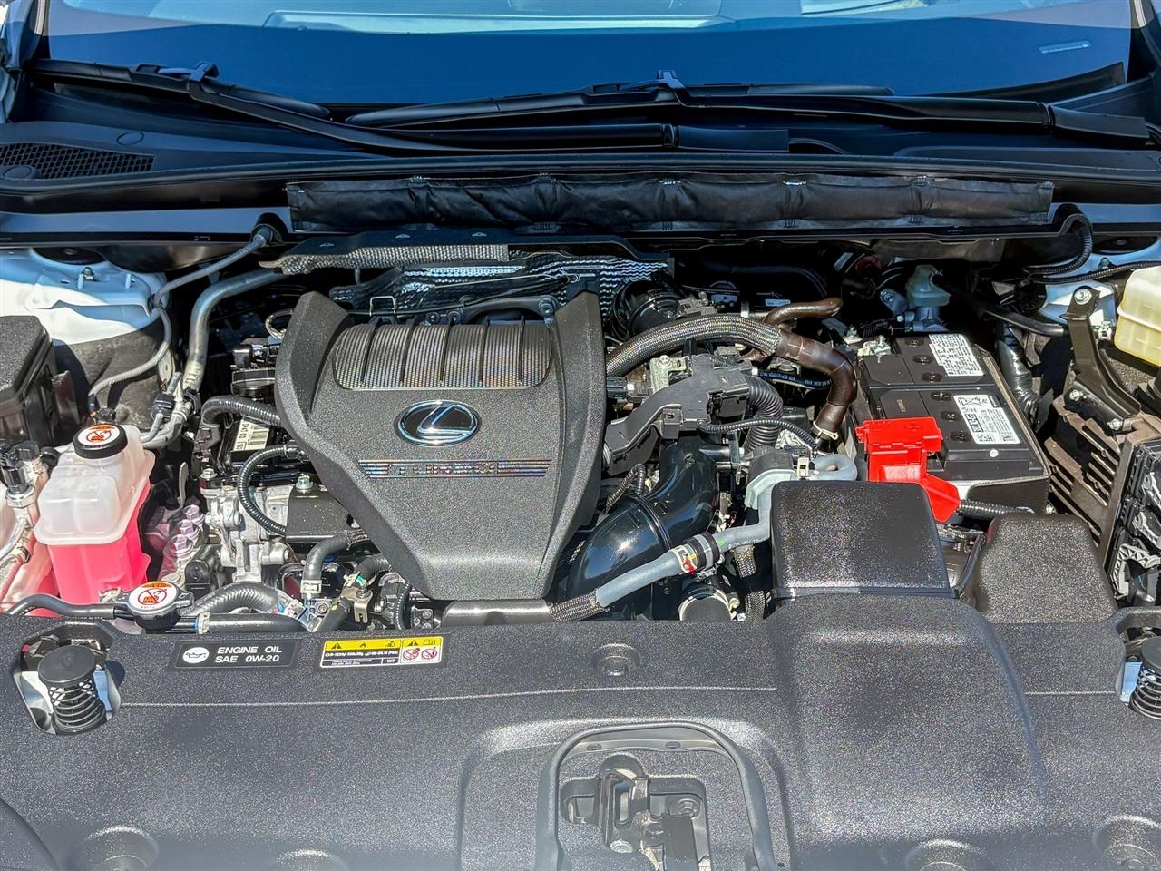 Lexus RX 350  2023