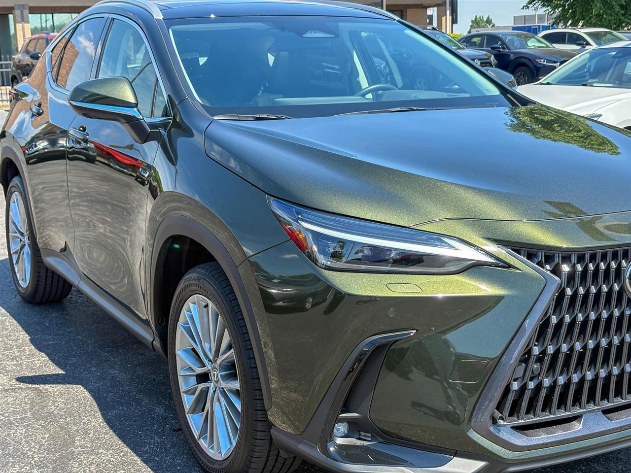 2025 Lexus NX 350h 350h Luxury AWD's photo
