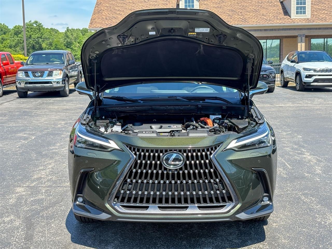 Lexus NX  2025