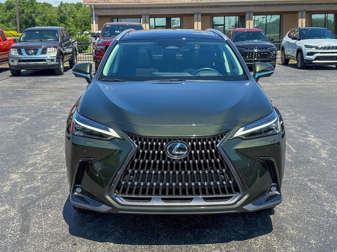 Lexus NX  2025