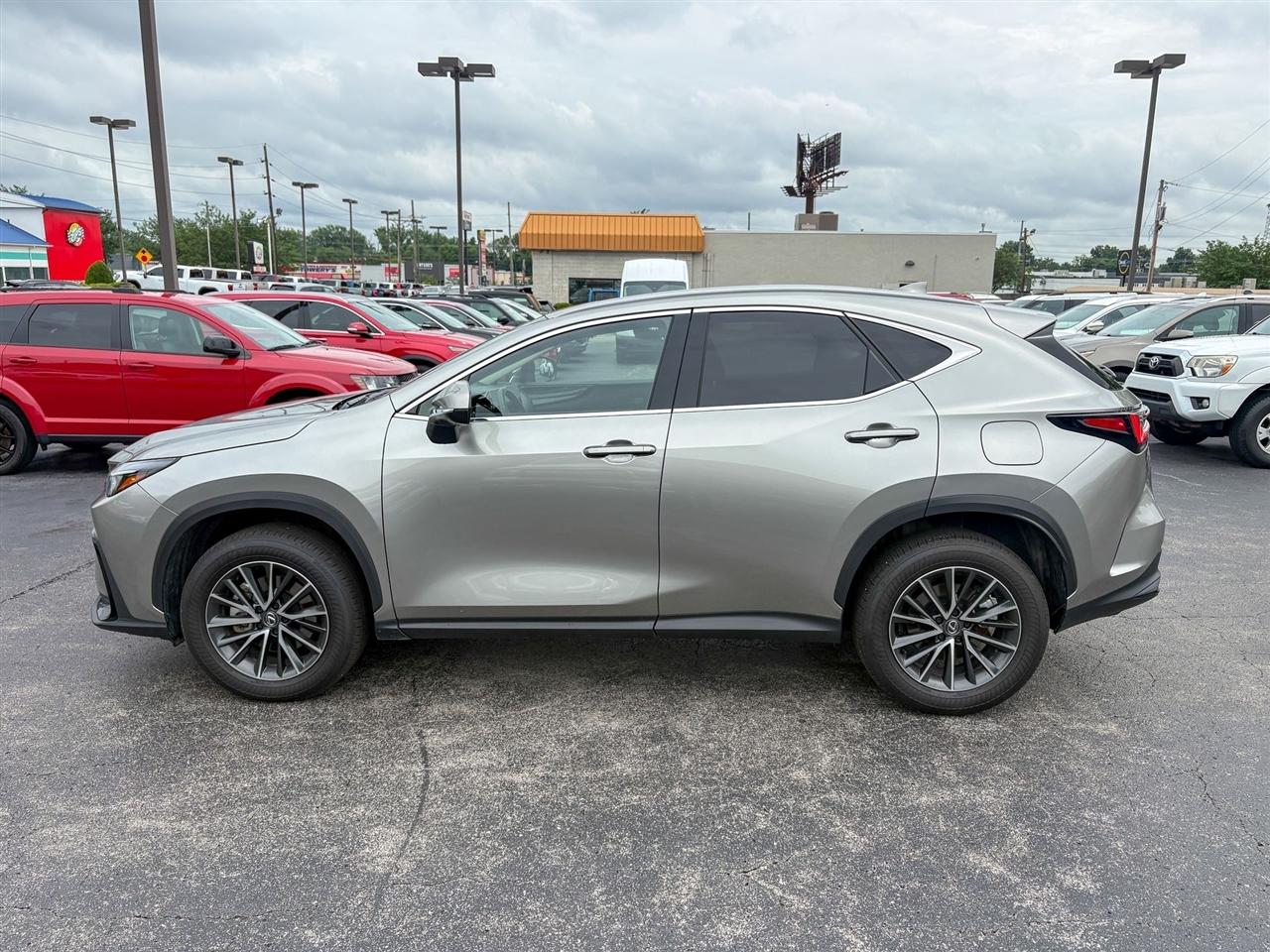 Lexus NX 350 Premium 2024