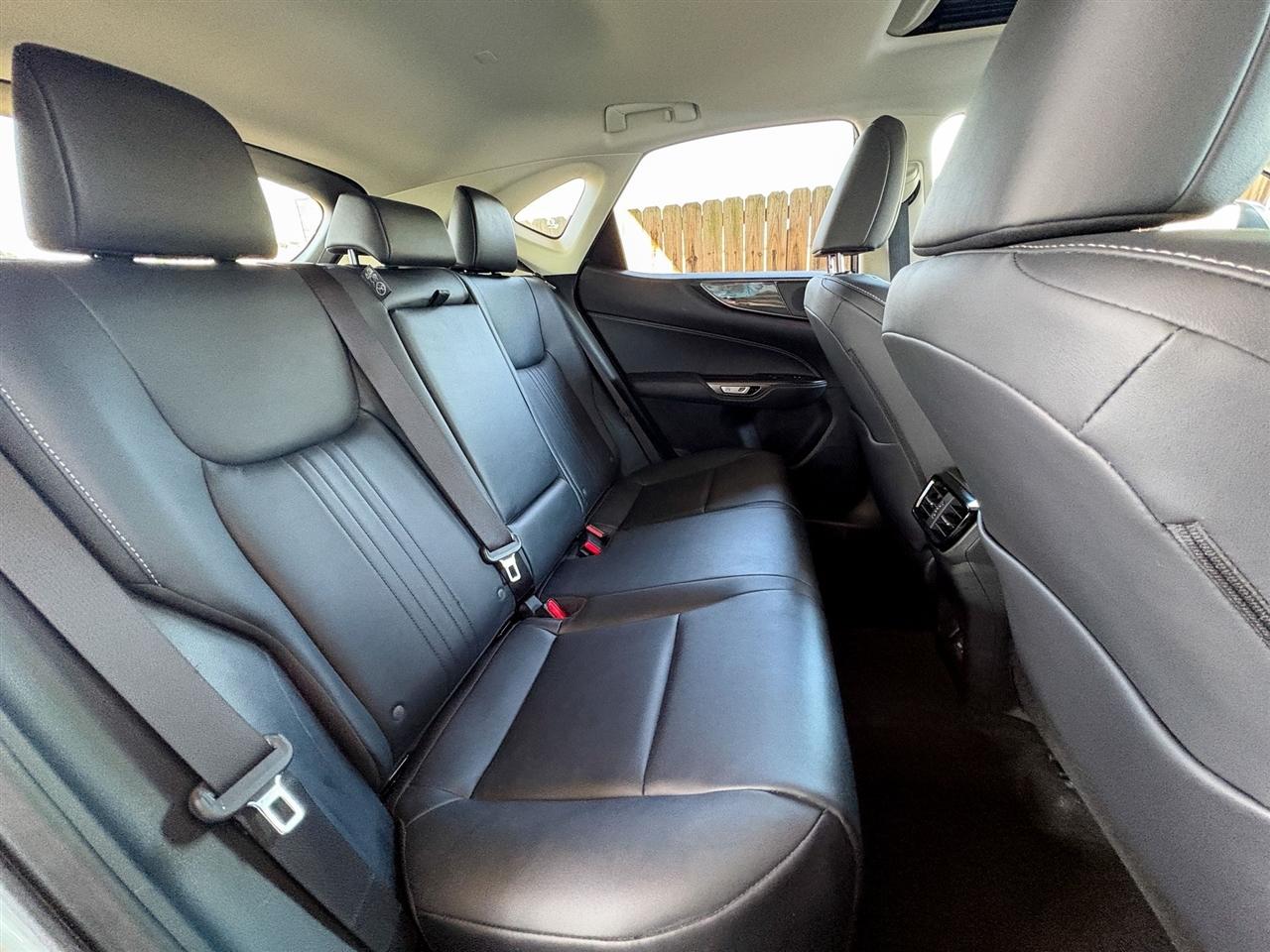 Lexus NX 350 Premium 2024