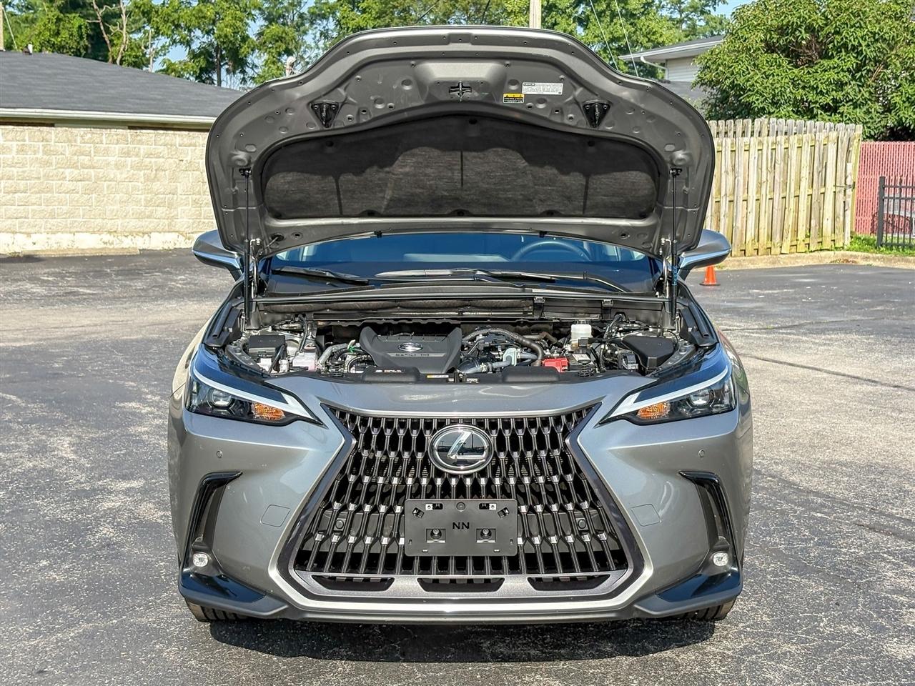 Lexus NX 350 Premium 2024