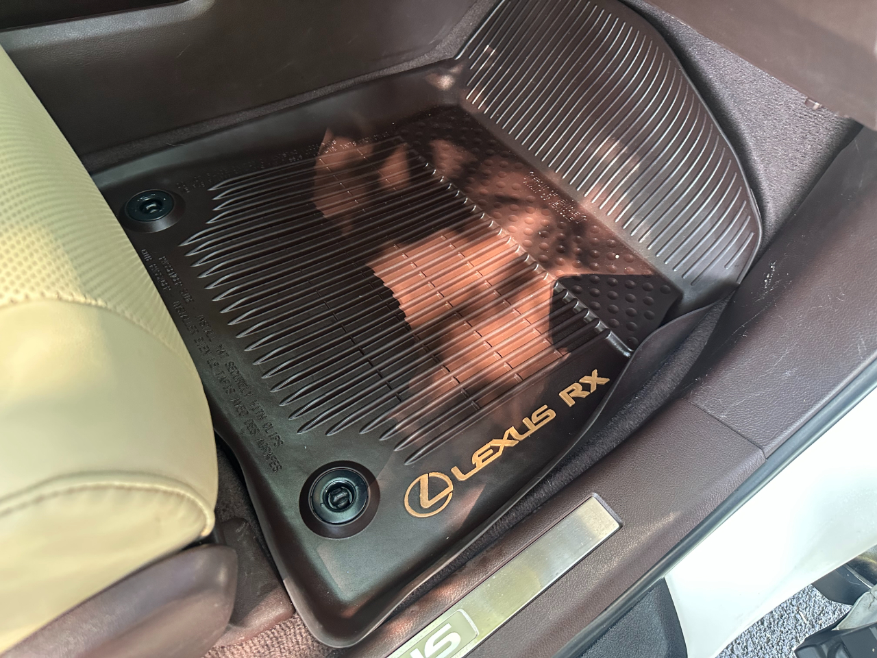 2020 Lexus RX 350L Premium photo 26