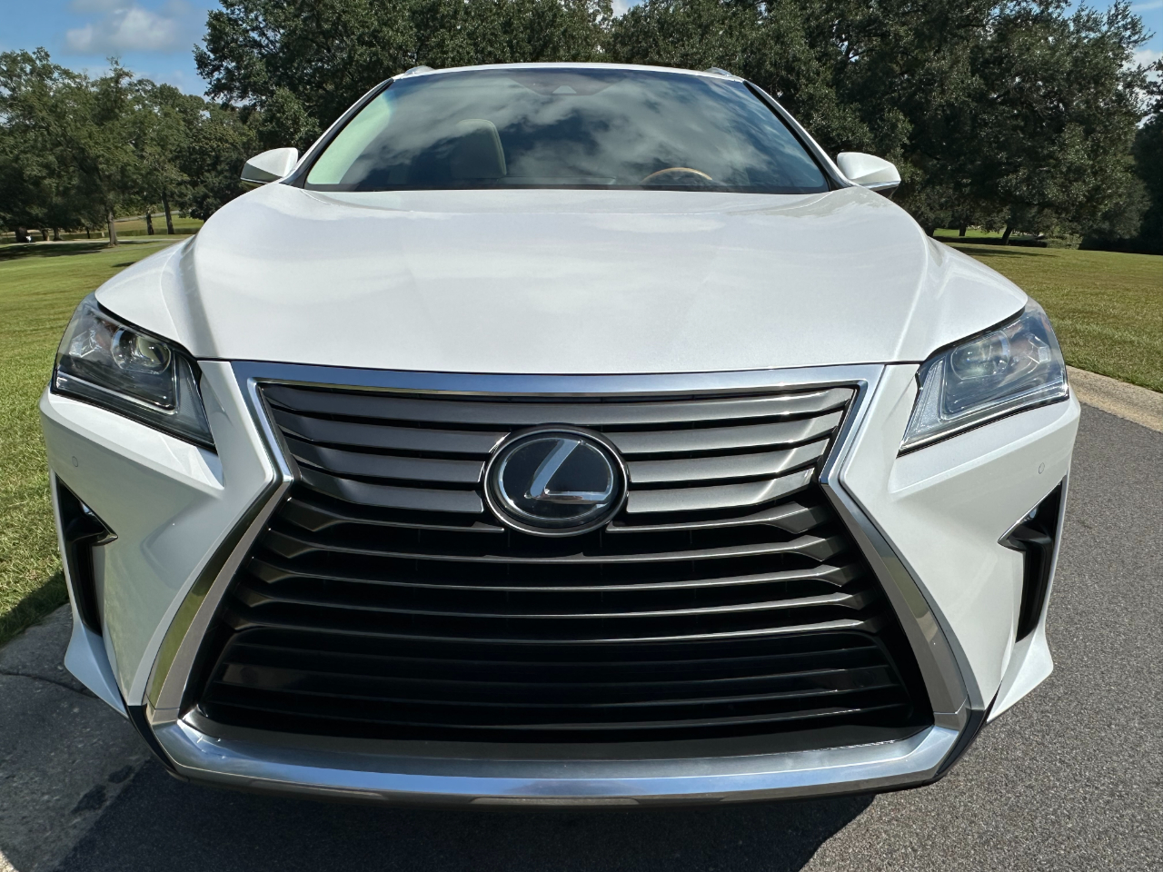 2019 Lexus RX 350 Premium photo 2