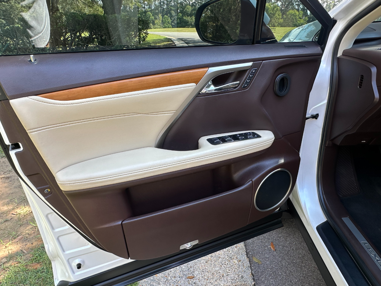 2019 Lexus RX 350 Premium photo 9