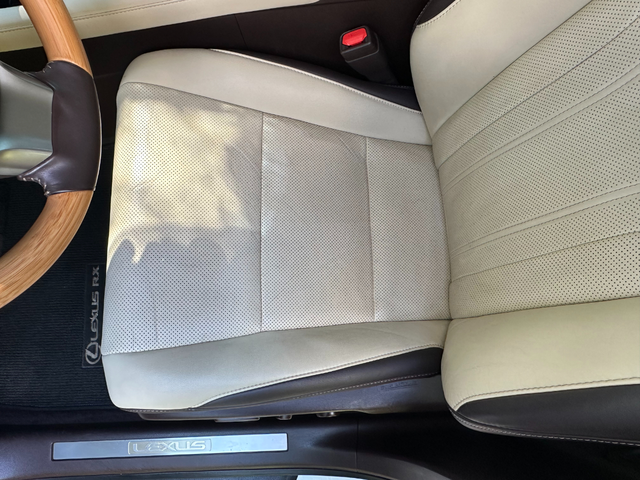 2019 Lexus RX 350 Premium photo 12