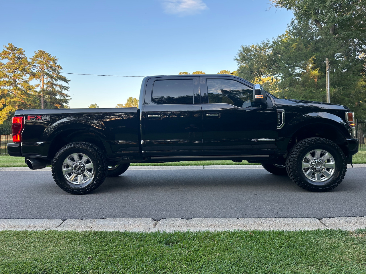 2020 Ford F-250 Platinum photo 4