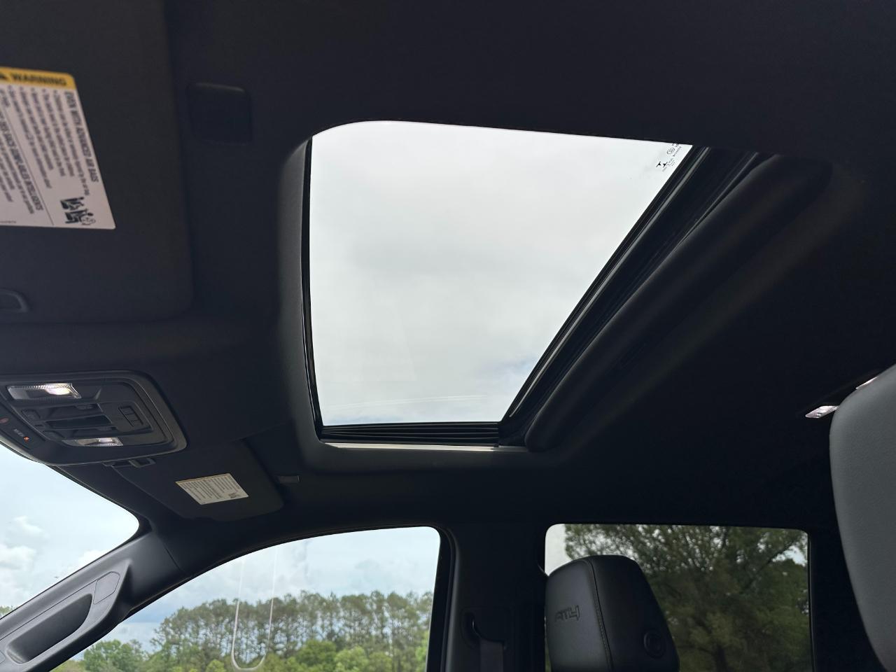 GMC Sierra 1500 4WD Crew Cab 147" AT4 2021