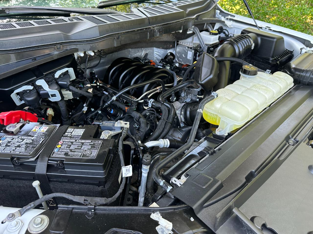 Ford F-150 XLT 4WD SuperCrew 5.5' Box 2025