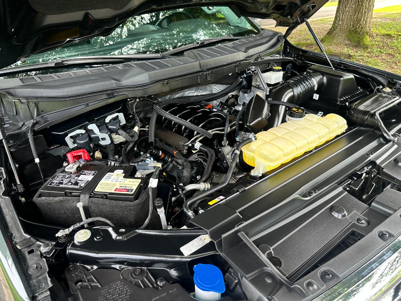 Ford F-150 XLT 4WD SuperCrew 5.5' Box 2021